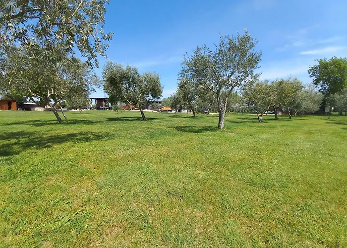 House Beta With Pool, Jacuzzi, Playground & Bbq In An Olive Grove With A Beach, Pomer - Istria * Póla