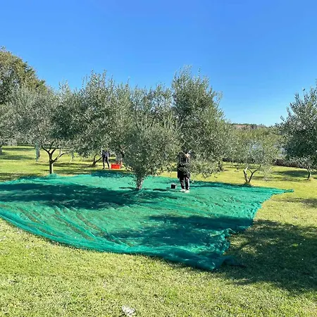 House Beta With Pool, Jacuzzi, Playground & Bbq In An Olive Grove With A Beach, Pomer - Istria Ferienhaus