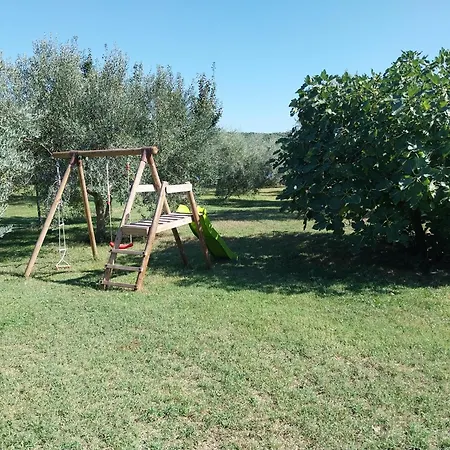 House Beta With Pool, Jacuzzi, Playground & Bbq In An Olive Grove With A Beach, Pomer - Istria Pula