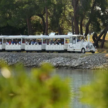 House Beta With Pool, Jacuzzi, Playground & Bbq In An Olive Grove With A Beach, Pomer - Istria Ferienhaus