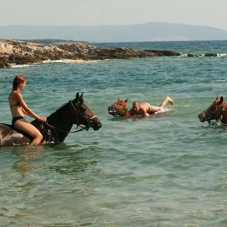 Beach House Beta With Pool, Jacuzzi, Playground & Bbq In An Olive Grove With A Beach, Pomer - Istria Holiday home *