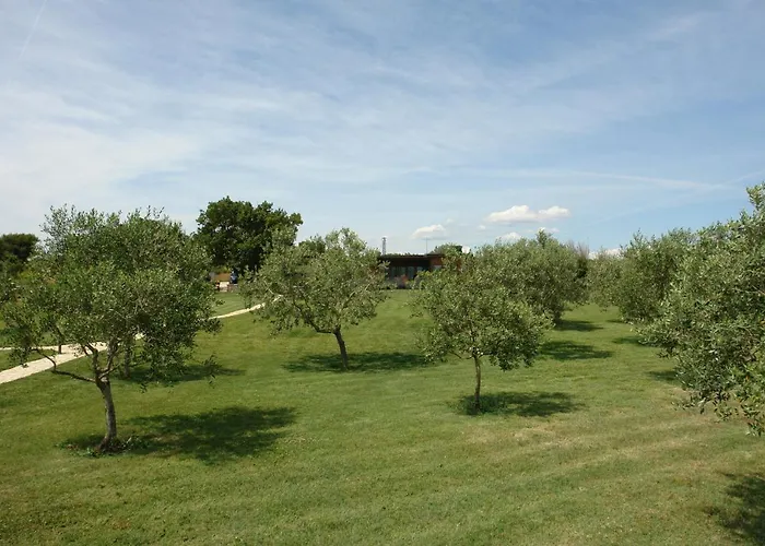 House Beta With Pool, Jacuzzi, Playground & Bbq In An Olive Grove With A Beach, Pomer - Istria Ferienhaus *
