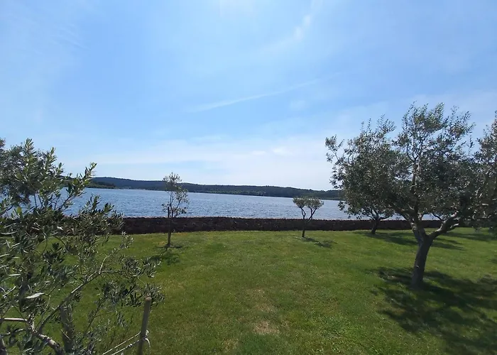 Ferienhaus House Beta With Pool, Jacuzzi, Playground & Bbq In An Olive Grove With A Beach, Pomer - Istria Pula