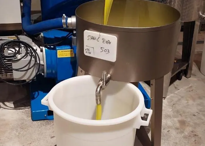 House Beta With Pool, Jacuzzi, Playground & Bbq In An Olive Grove With A Beach, Pomer - Istria