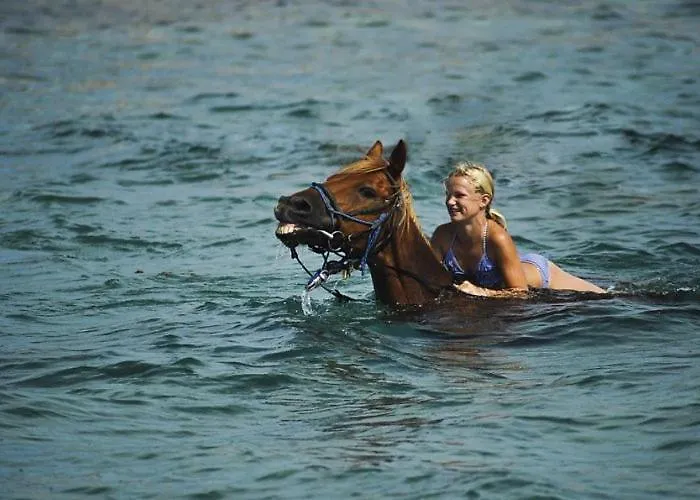 House Beta With Pool, Jacuzzi, Playground & Bbq In An Olive Grove With A Beach, Pomer - Istria * Pula