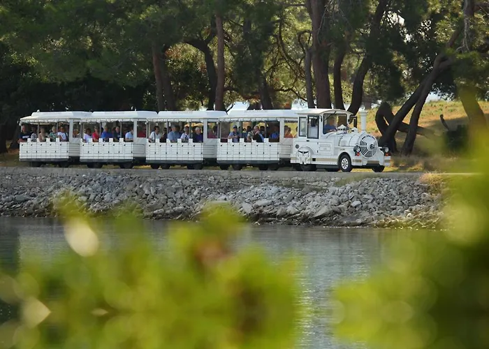 House Beta With Pool, Jacuzzi, Playground & Bbq In An Olive Grove With A Beach, Pomer - Istria Ferienhaus