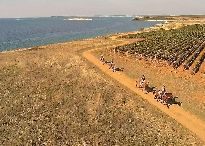 Ferienhaus House Beta With Pool, Jacuzzi, Playground & Bbq In An Olive Grove With A Beach, Pomer - Istria