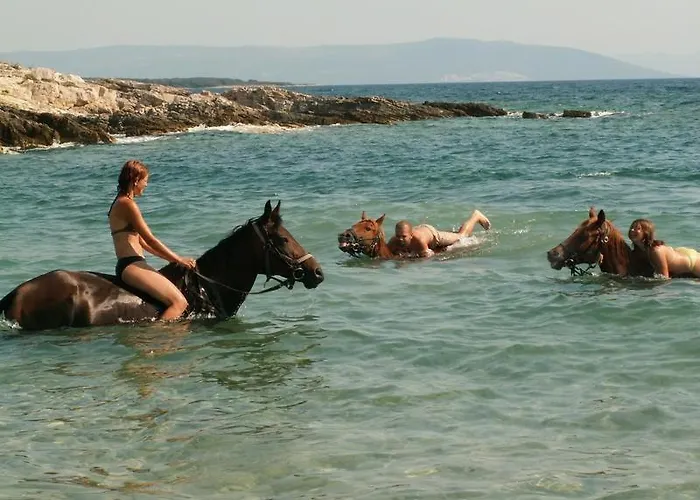 House Beta With Pool, Jacuzzi, Playground & Bbq In An Olive Grove With A Beach, Pomer - Istria Ferienhaus *