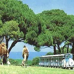 Holiday home Beach House Beta With Pool, Jacuzzi, Playground & Bbq In An Olive Grove With A Beach, Pomer - Istria Pula