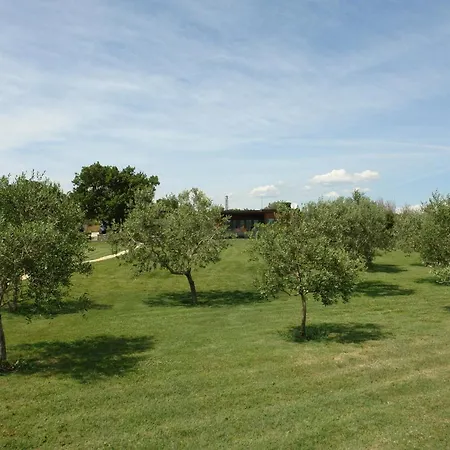 House Beta With Pool, Jacuzzi, Playground & Bbq In An Olive Grove With A Beach, Pomer - Istria Tatil Evi *
