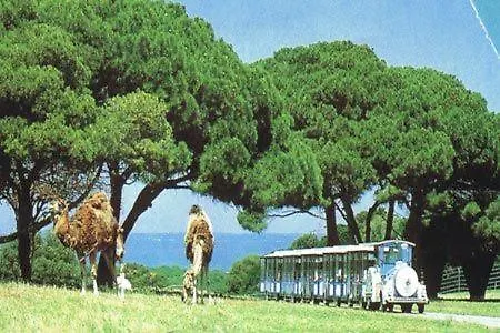 Tatil Evi House Beta With Pool, Jacuzzi, Playground & Bbq In An Olive Grove With A Beach, Pomer - Istria Pula